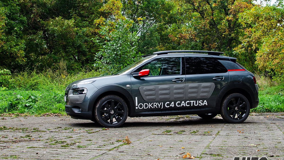 Zdjęcie ilustracyjne do artykułu