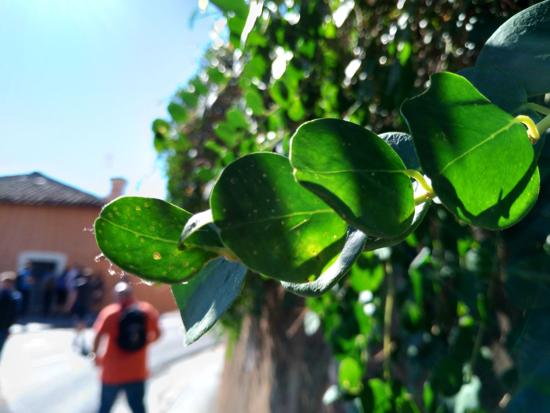 ASUS ZenFone 4 - test i recenzja 45