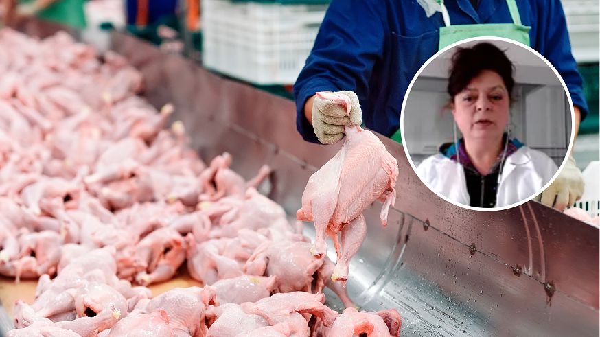 Człowiek stwarza wirusowi ptasiej grypy coraz lepsze warunki. Zabito 9 razy więcej kur niż jest ludzi