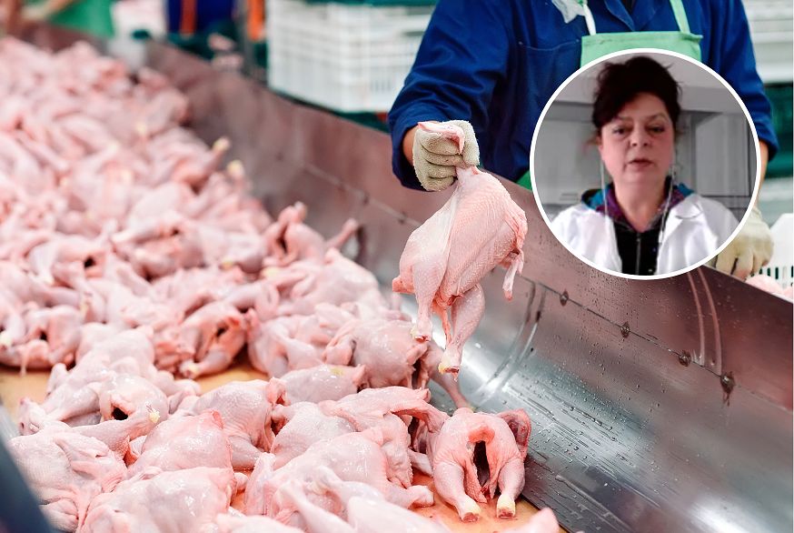 "Czarny scenariusz dla ludzkości". Człowiek stwarza wirusowi coraz lepsze warunki