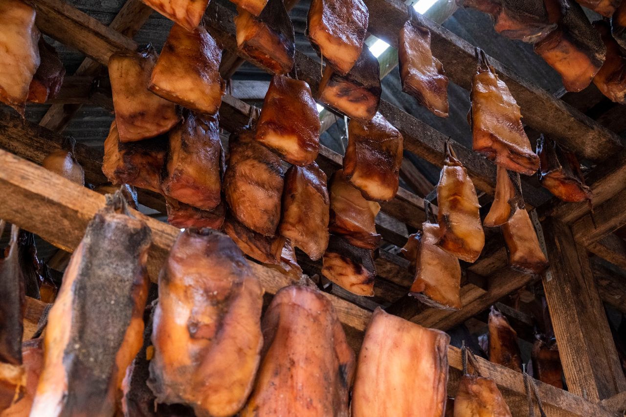 Ten "przysmak" cuchnie i wywołuje mdłości. Na Islandii się nim zajadają