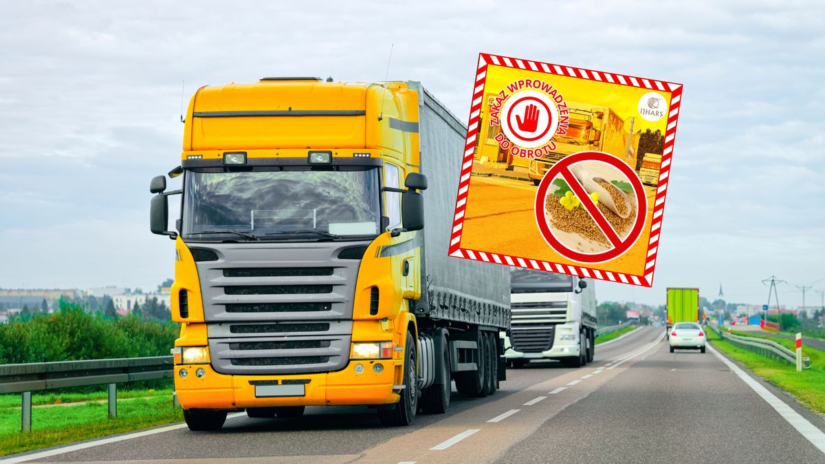 Służby zatrzymały transport nasion gorczycy z Kazachstanu