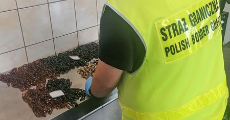 Rosjanie wpadli na granicy. Przemycali błyskotki z obwodu