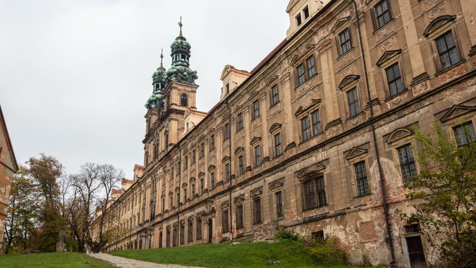 To na tych właśnie ścianach tak dobrze czują się porosty żełuczka i odnożyca