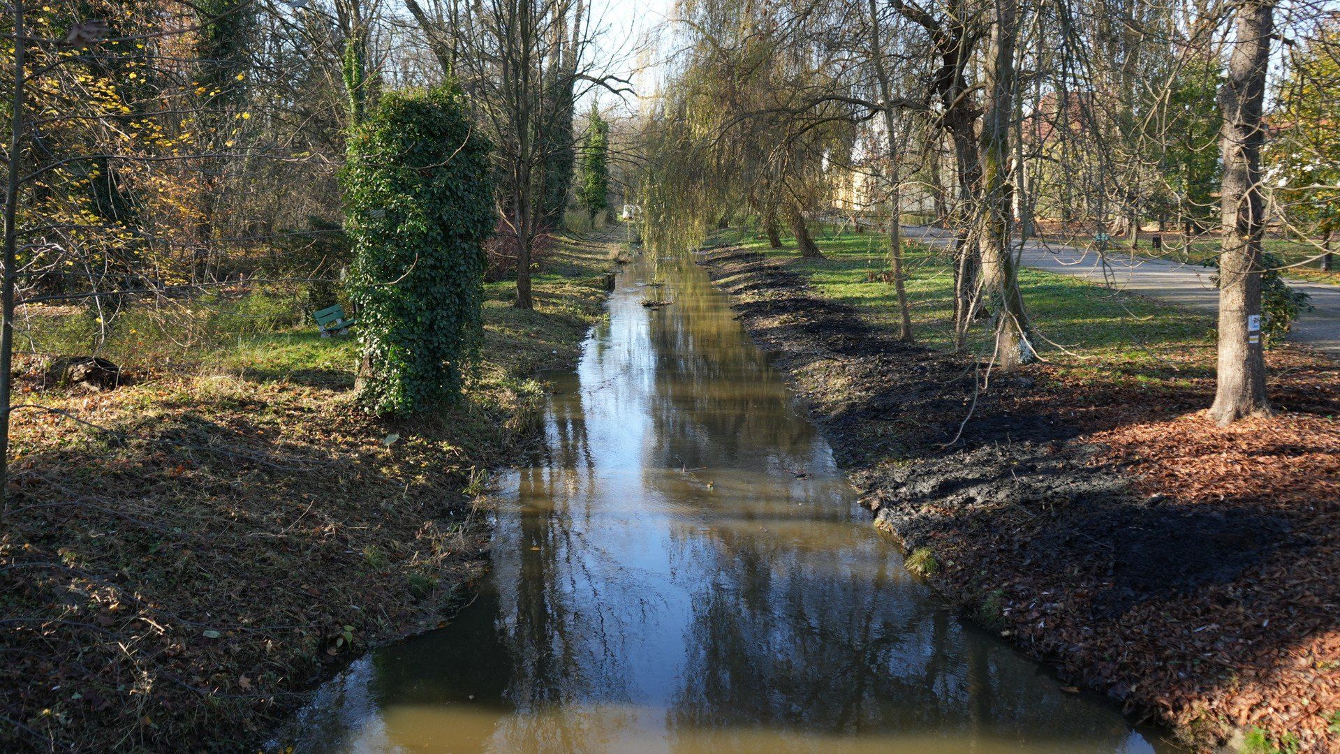 Ochrona cennych gatunków i walka z inwazyjną szczeżują chińską