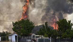 Gigantyczne pożary w Grecji. Polskie władze zadecydowały