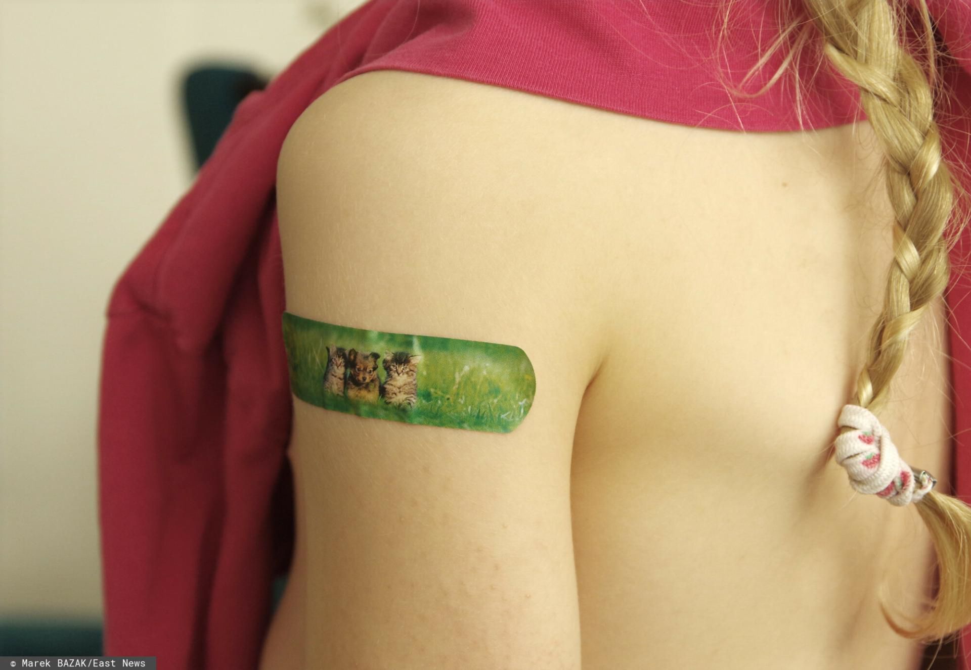 zdjęcie ilustracyjne 