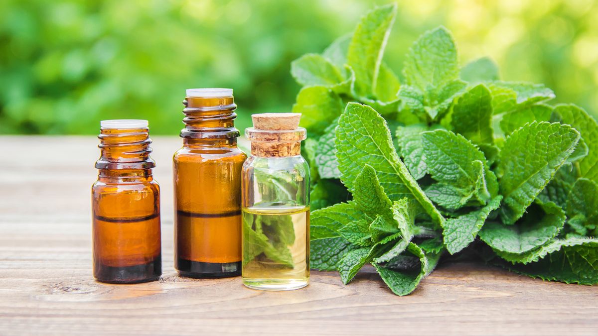 Triplixam to ziołowy lek, działający moczopędnie