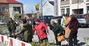 Na Rynku w Proszowicach rozdawali sadzonki i kompostowniki