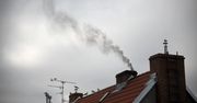 Czystsze powietrze dzięki pandemii? Palenie śmieci w piecach to wciąż norma