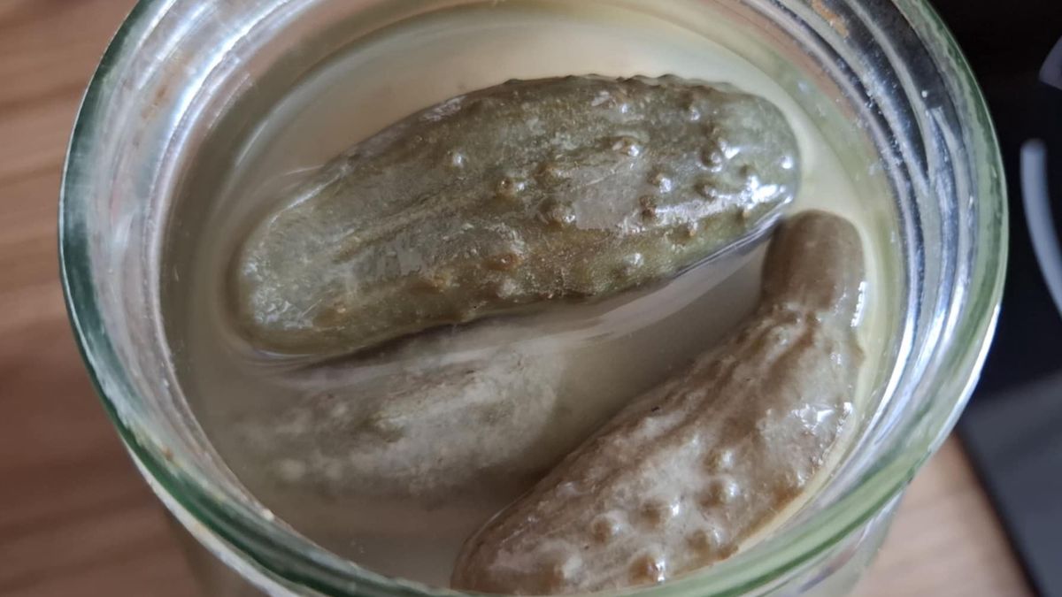 Biały nalot na kiszonych ogórkach