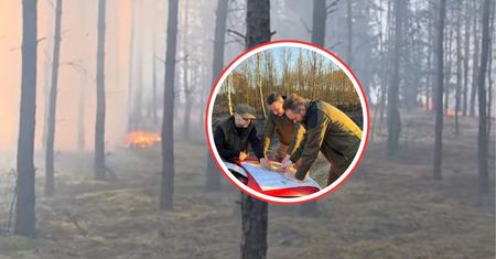 Leśnicy przepraszają. To stało się w Wielkanoc. "Gołym okiem nie widać"