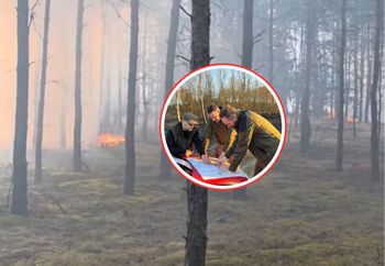 Leśnicy przepraszają. To stało się w Wielkanoc. "Gołym okiem nie widać"