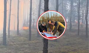 Leśnicy przepraszają. To stało się w Wielkanoc. "Gołym okiem nie widać"