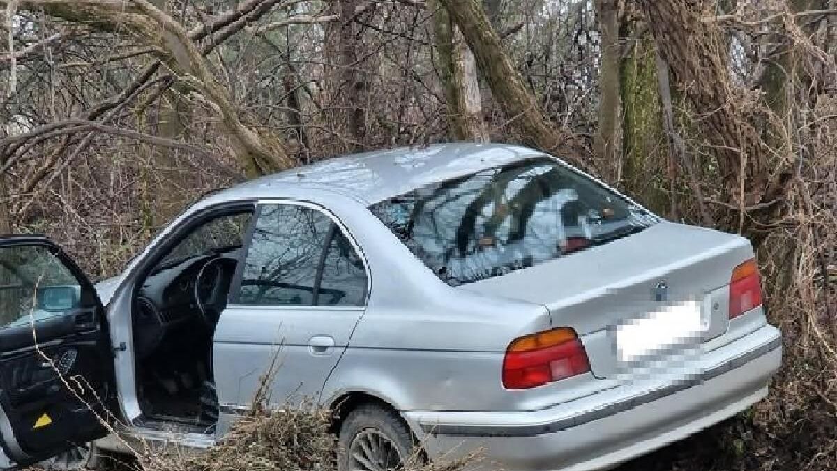 BMW w zaroślach, nietrzeźwy kierowca próbował uciekać pieszo