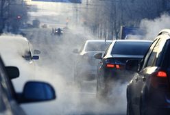 Як зменшити вплив брудного повітря на наше здоров'я