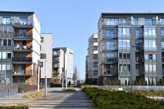 Zawirowania na rynku. Ceny najmu ostro w górę