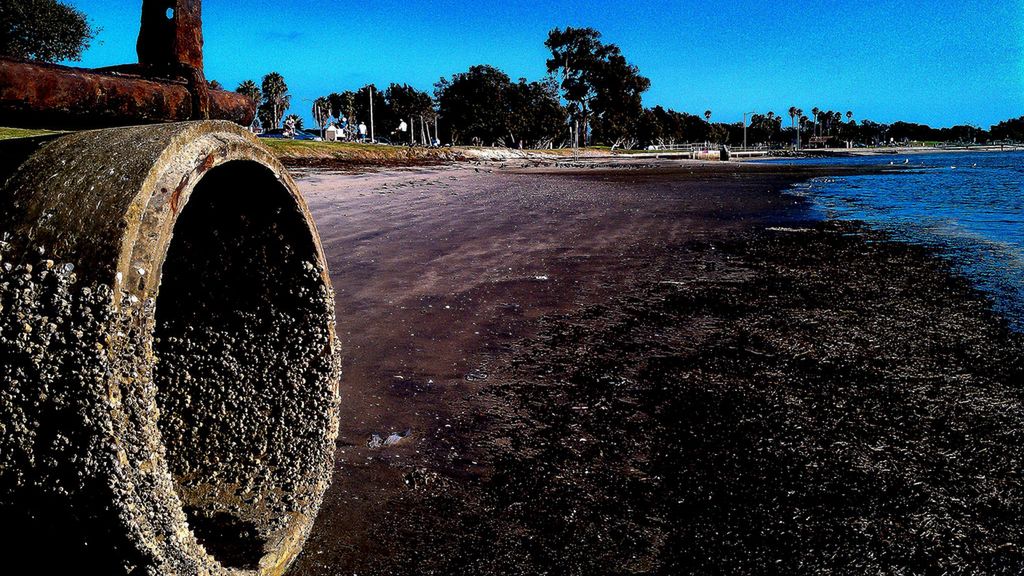 Zachodni Teksas pije własny mocz 1