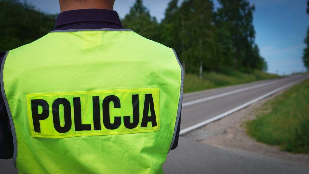 policja