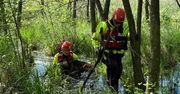 Strzelce Krajeńskie: Strażacy uratowali psa, który utknął w bagnie