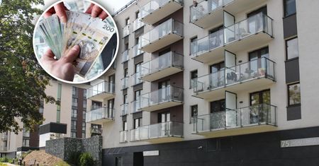 Pokazują skutek decyzji RPP. Oto co dzieje się na rynku mieszkań