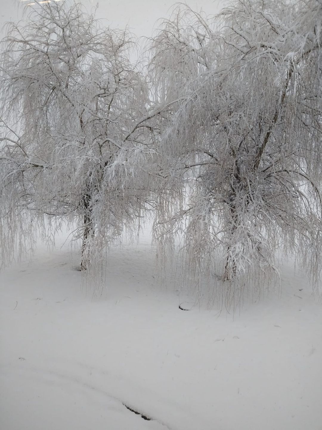 Pogoda. Zima na Lubelszczyźnie i Podkarpaciu