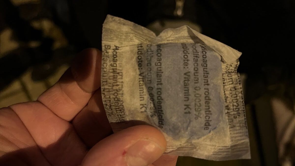 Trutka na szczury znaleziona na trawniku