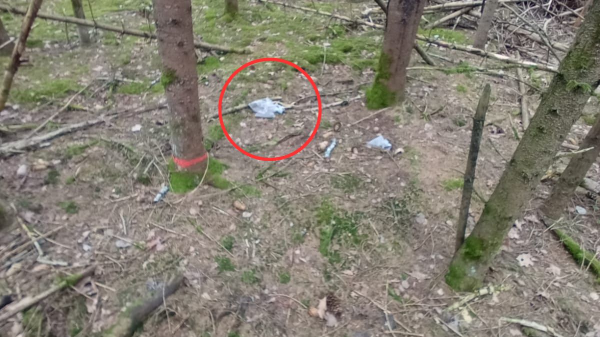 Leśnicy znaleźli takie woreczki. Teraz publikują zdjęcia.