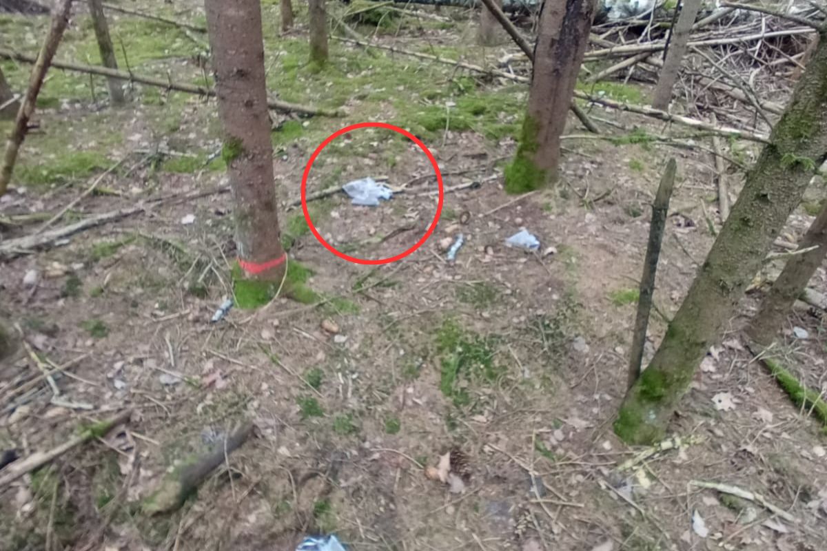 Znaleźli tajemnicze woreczki. Nadleśnictwo Białowieża pokazało zdjęcia