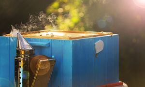"Sytuacja jest naprawdę ciężka". Polski towar eksportowy zagrożony
