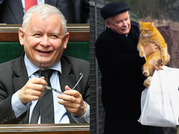Koty dostaną trzynastkę od Kaczyńskiego. "Wszyscy wiedzą, że duża jest miłość pana prezesa do zwierząt"