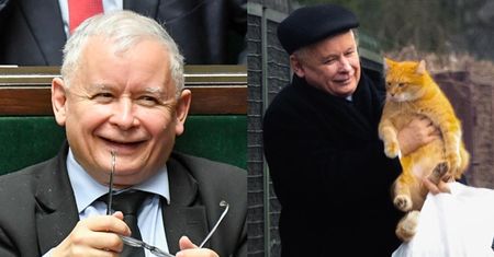 Koty dostaną trzynastkę od Kaczyńskiego. "Wszyscy wiedzą, że duża jest miłość pana prezesa do zwierząt"