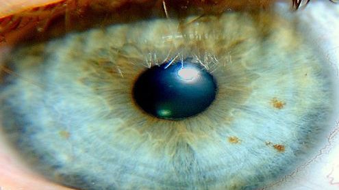 Nowy pomysł Wielkiego Brata: już niedługo będą Cię filmować... w kinie 1