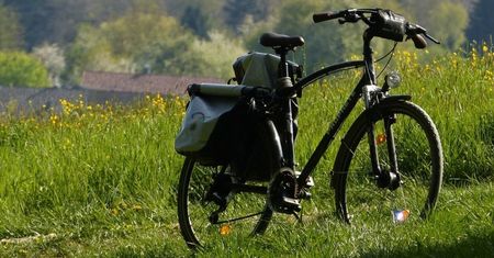 Zabierz rodzinę na piknik. Prezentacja Lubelskiego Roweru Miejskiego