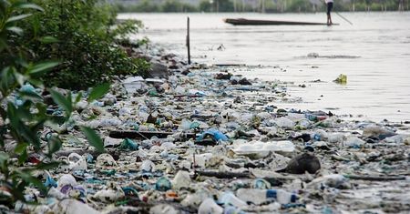 Niepokojące odkrycie naukowców. Płuca, wątroba, nerki. Plastik był wszędzie
