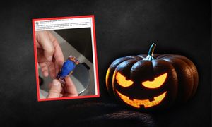 "Rodzice, ku przestrodze". Takie "cukierki" przyniosły dzieci