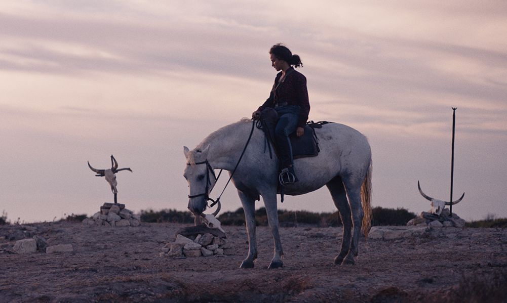 Ten przebój festiwali filmowych jest porównywany do "Substacji". "Zwierzę" już niebawem w kinach