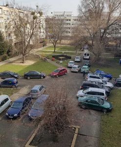 Wrocław. Podwórka tylko dla mieszkańców? Jest pomysł jak rozwiązać problemy z parkowaniem