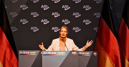 AfD organizacją ekstremistyczną? Ministerstwo wstrzymuje decyzję