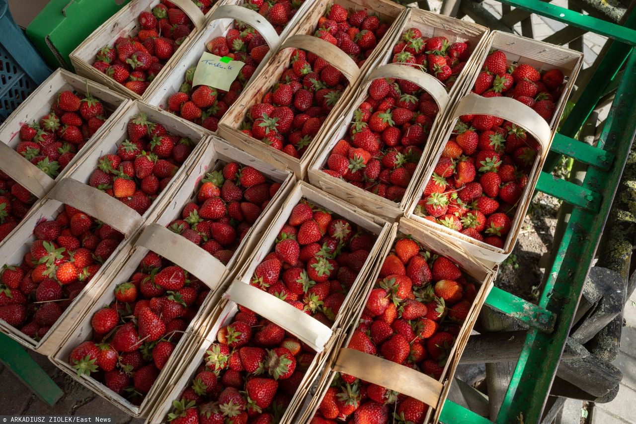 Ceny truskawek. Idzie wysyp. "W tym roku będą aż trzy"