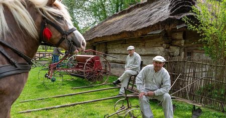 Darmowe wejścia do muzeów w Lublinie. Przed majówką można sporo zaoszczędzić