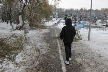 Rzeszów: Śnieg połamał nam drzewa. Ratusz: Straty są ogromne