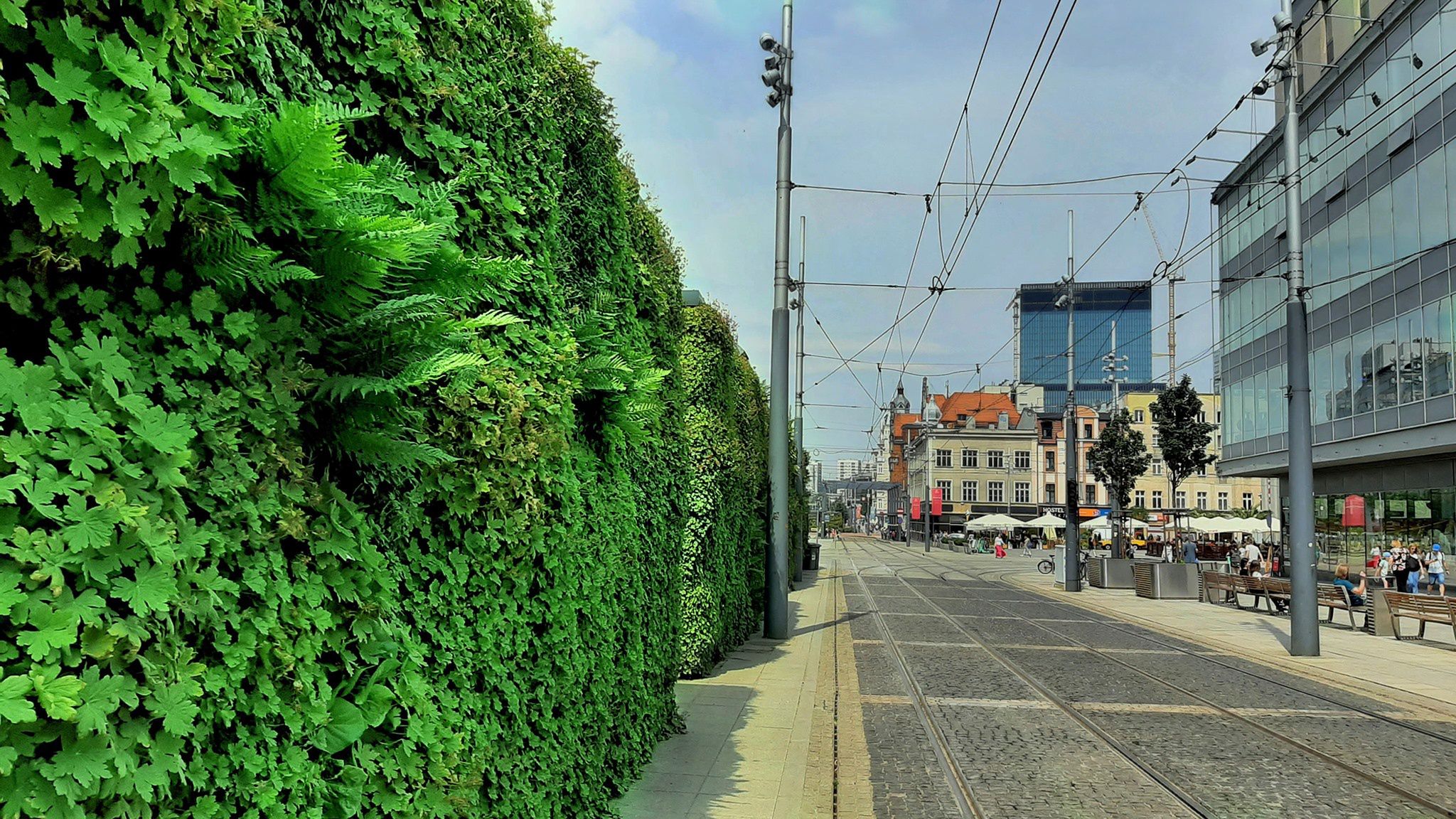 Katowice. Podatkiem miasto chce zachęcić do "zielonych" rozwiązań.