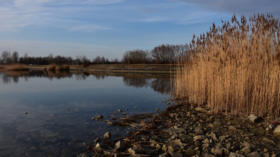 Jezioro Tarnobrzeskie