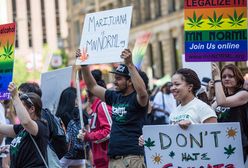 Legalizacja marihuany w Anglii coraz bliżej? Policja toleruje plantatorów
