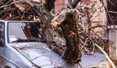 Wichura zniszczyła auto. Kto za to zapłaci?