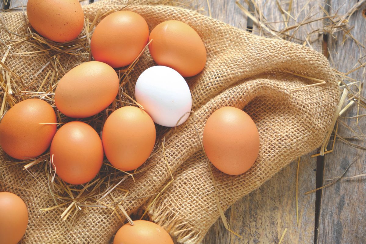 Jajka mogą mieć różne kolory - od brązowych pod białe