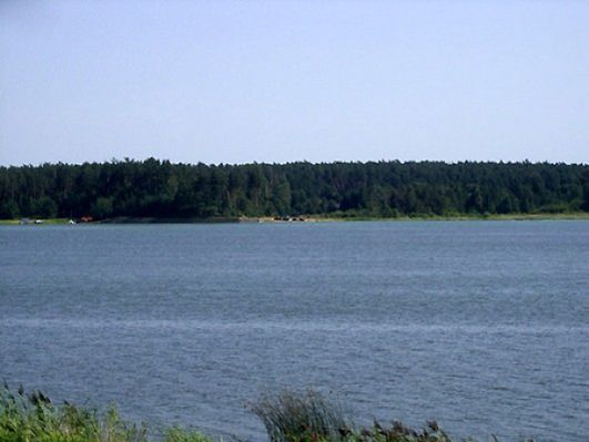 Obraz
