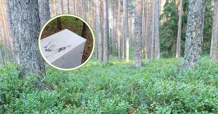 Leśnicy pokazali, co znaleźli. Aż się zagotowali. "W lesie? Serio?!"