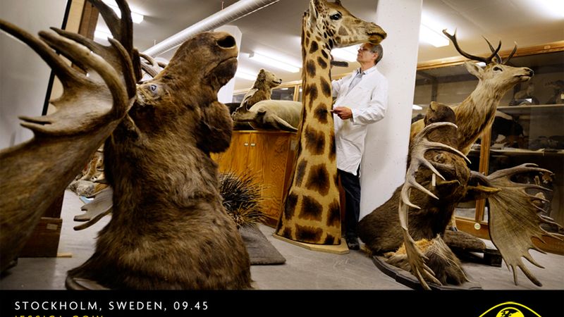 Największa wystawa fotograficzna w historii 1
